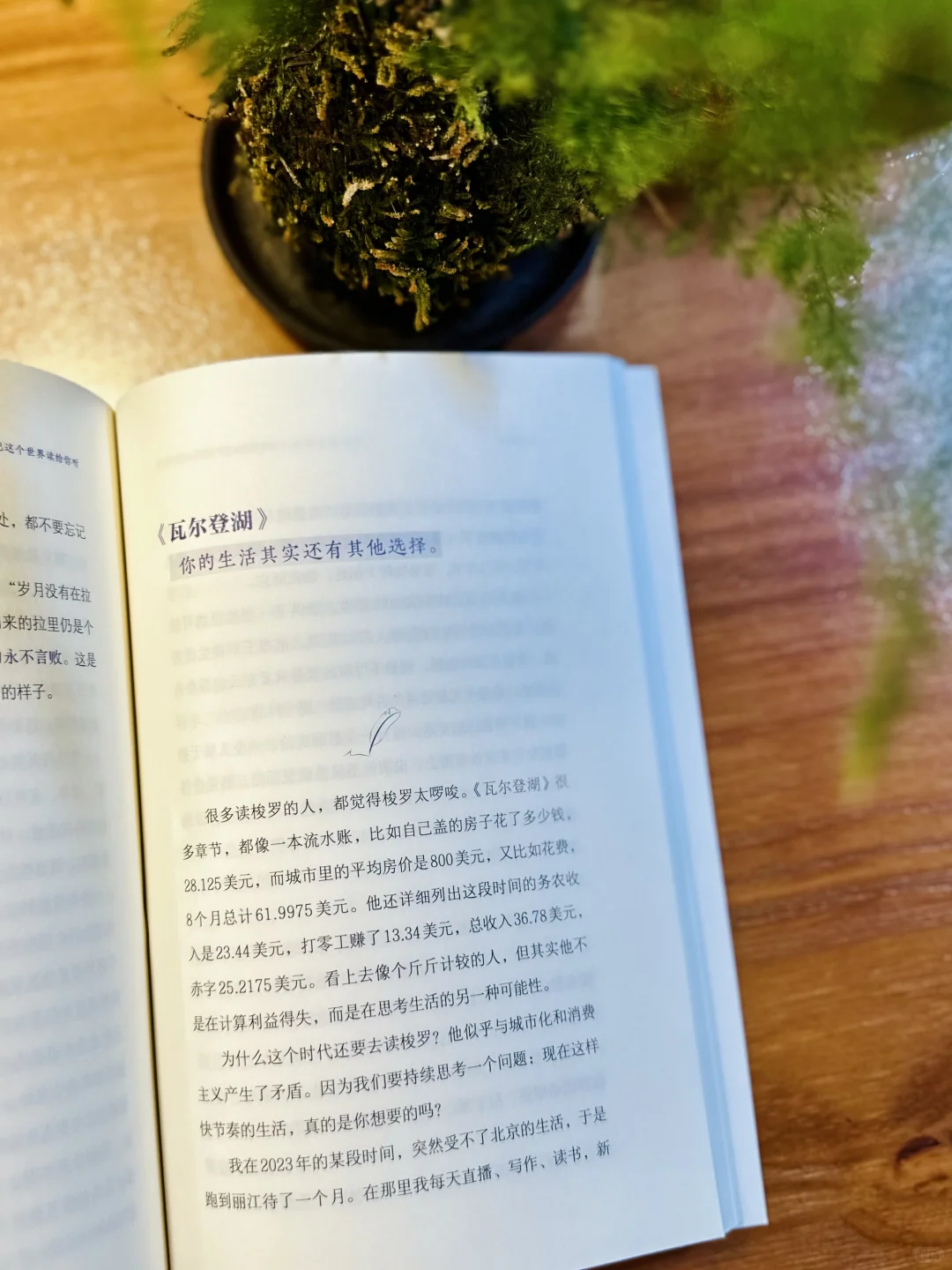 无论你读过哪部经典文学，都要来读这一本