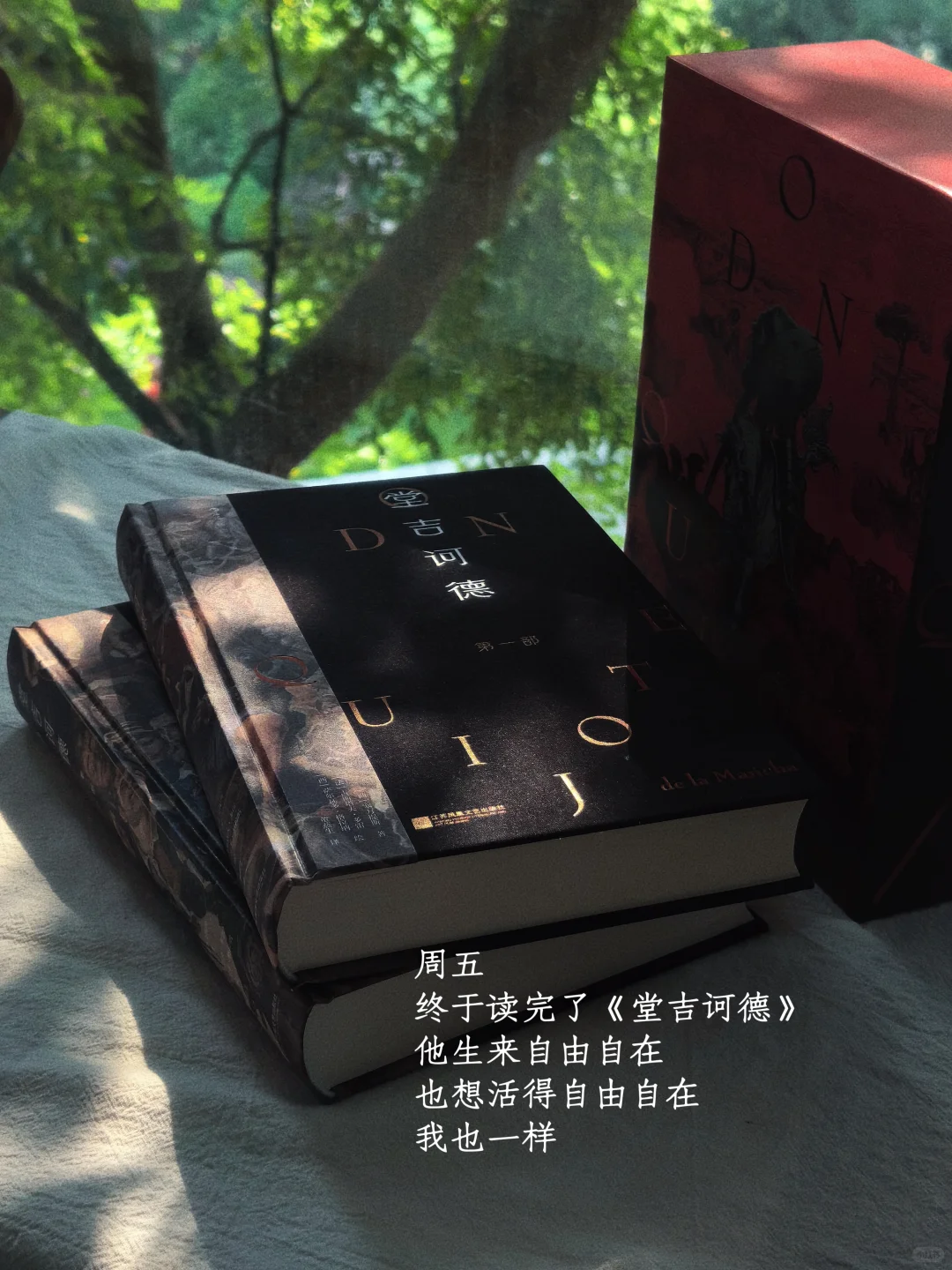 她的一周：买花、阅读、游泳、享受夏日