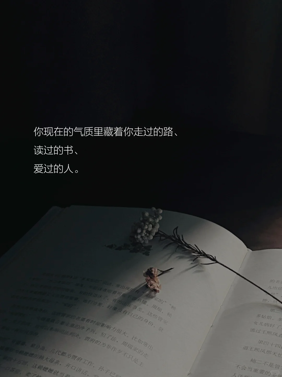 读书的意义是什么？这是我听到的蕞好的答案。