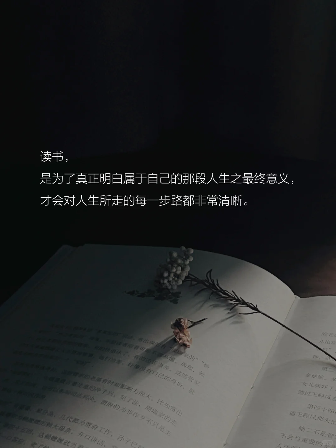 读书的意义是什么？这是我听到的蕞好的答案。