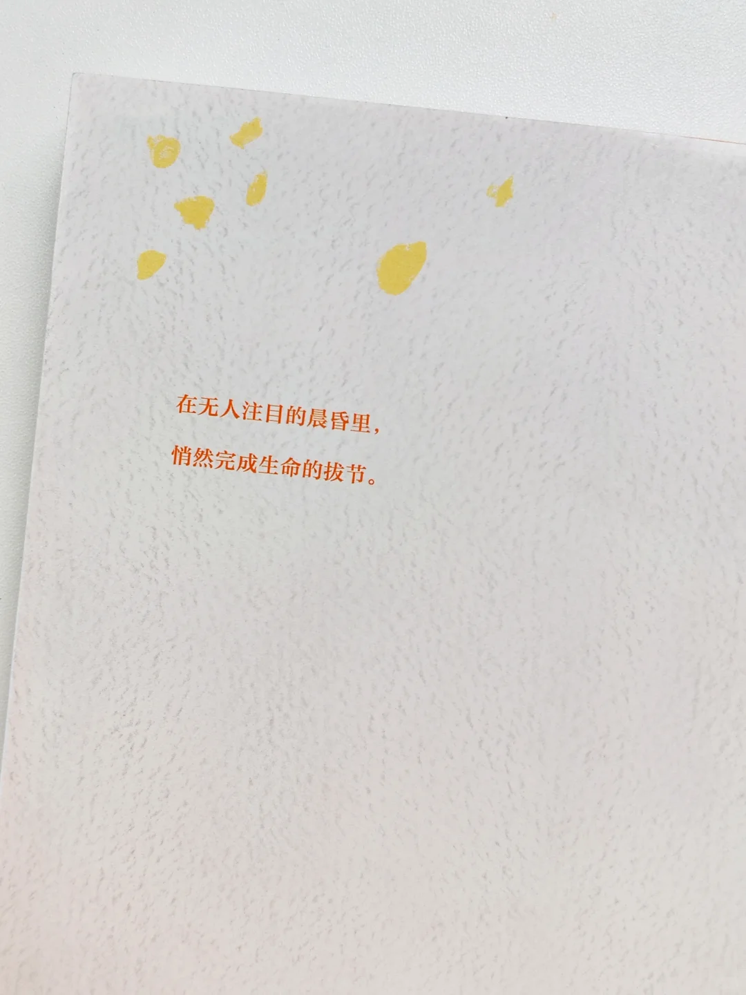 在无人注目的晨昏里，悄然完成生命的拔节。