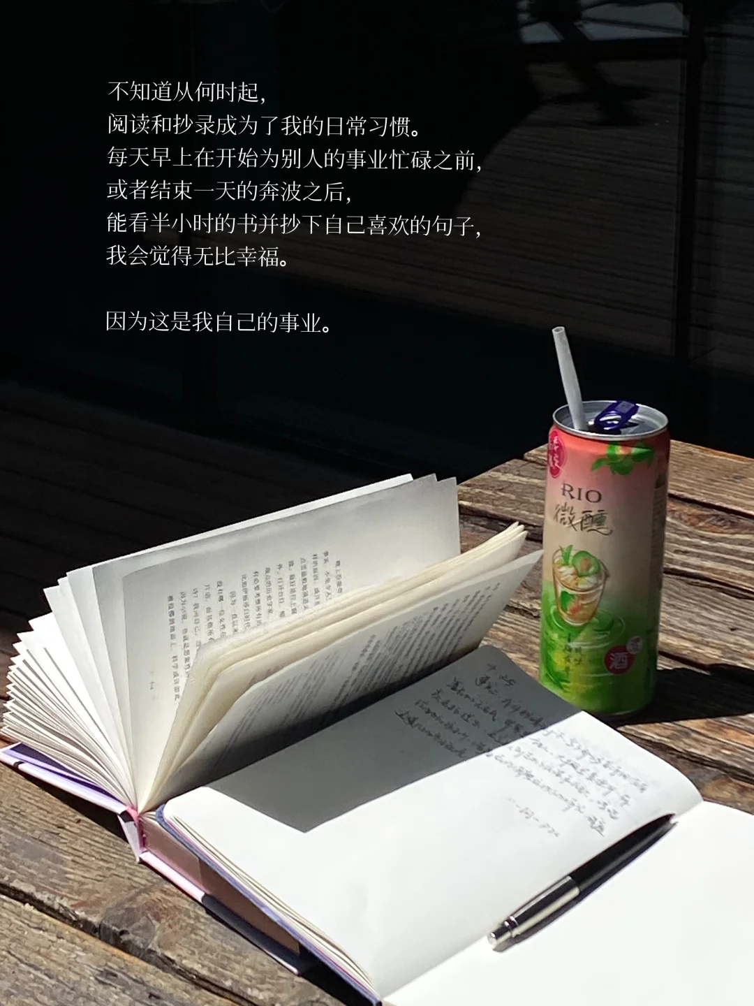 ：阅读遇到好的句子我会忍不住抄下来