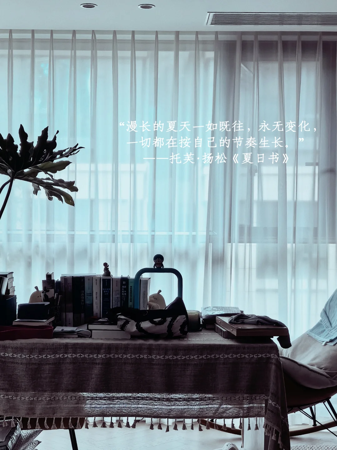 她的一周：买花、阅读、游泳、享受夏日