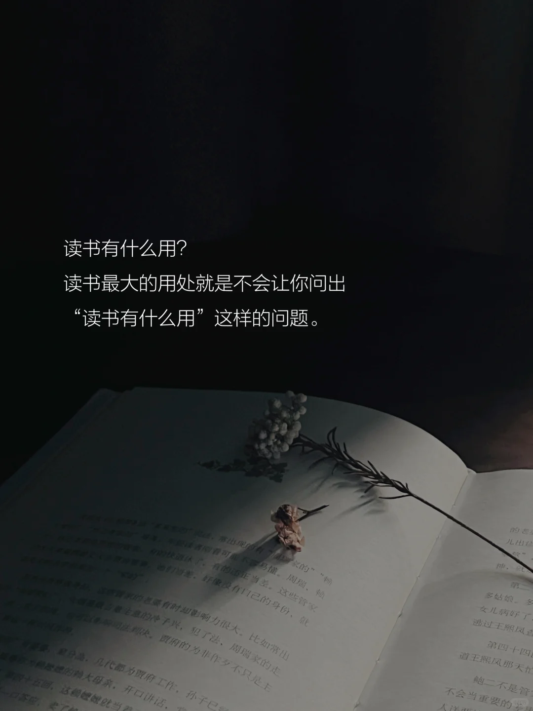 读书的意义是什么？这是我听到的蕞好的答案。