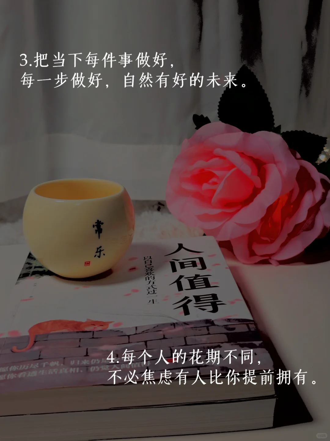 励志文案🌿做读书博主我是为了“成长”