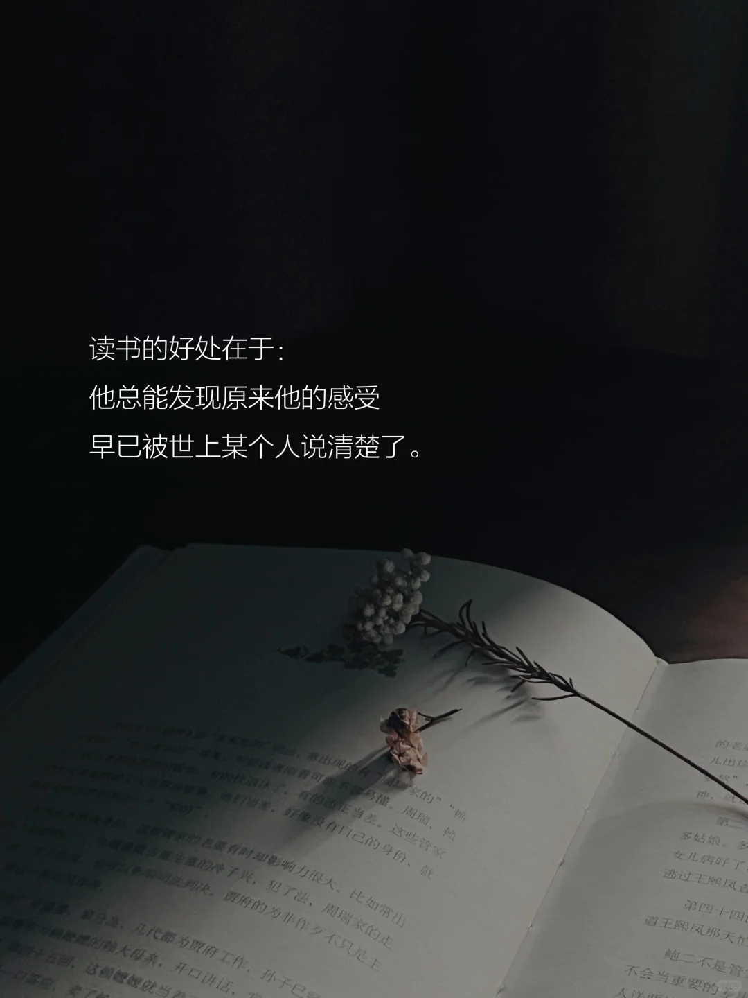 读书的意义是什么？这是我听到的蕞好的答案。
