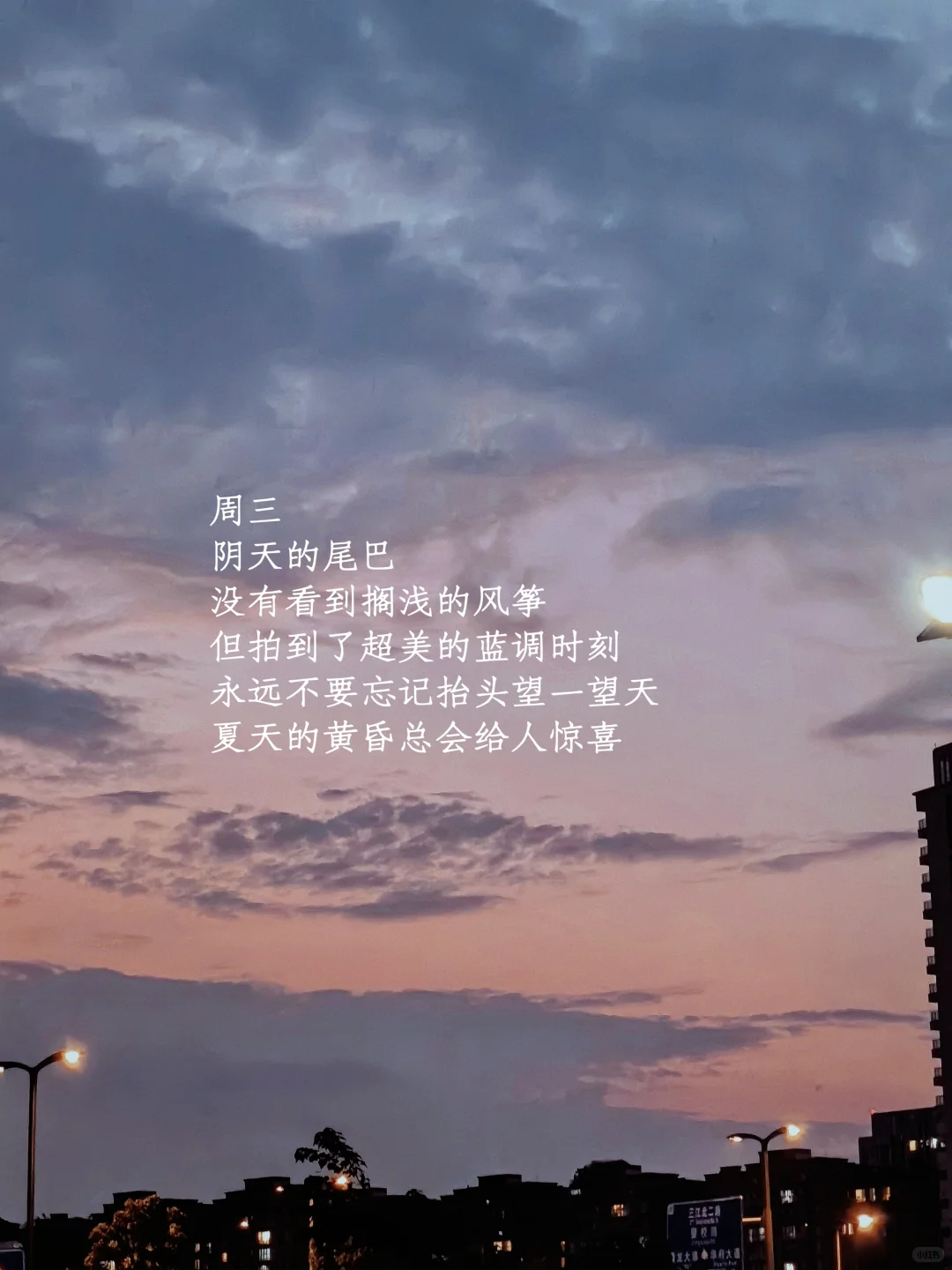她的一周：买花、阅读、游泳、享受夏日