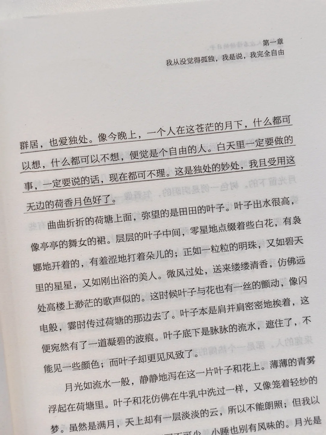 在无人注目的晨昏里，悄然完成生命的拔节。