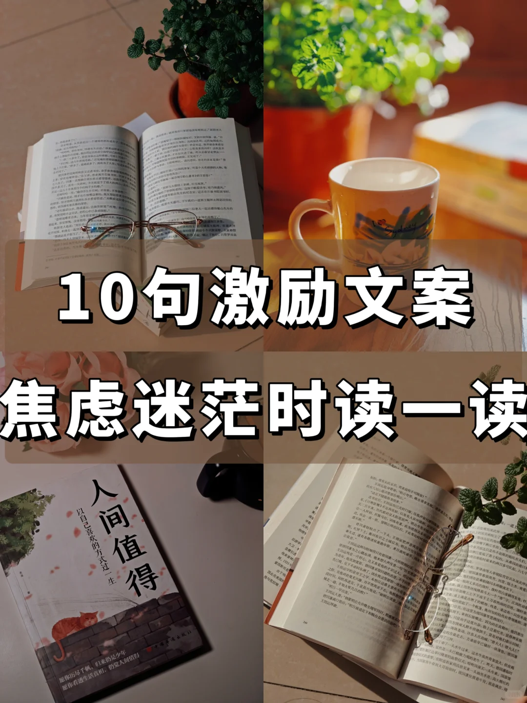 励志文案🌿做读书博主我是为了“成长”