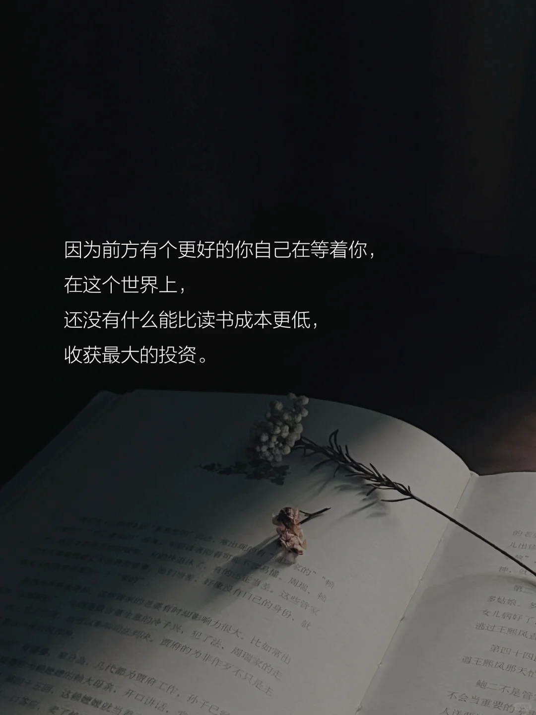 读书的意义是什么？这是我听到的蕞好的答案。