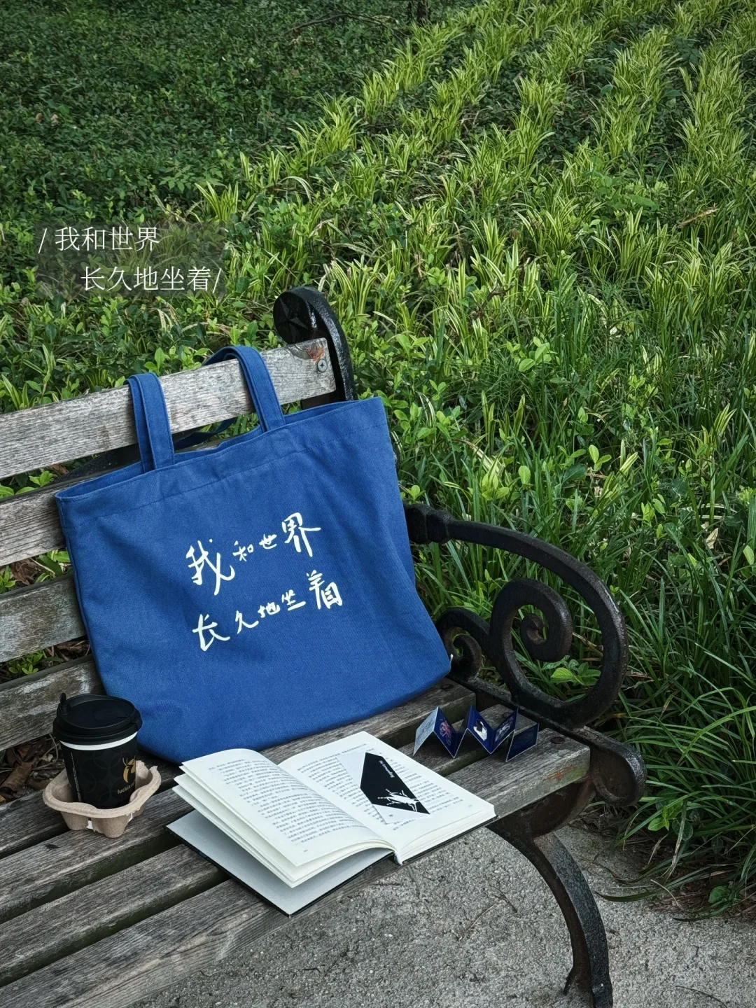 我的解压方式：阅读、散步、看树、不联系🌁