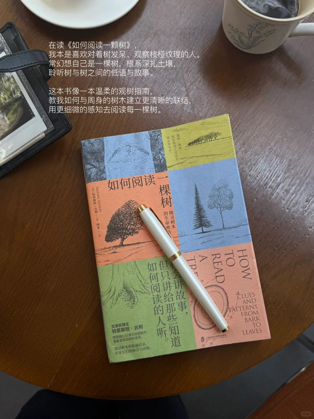 夏天是让人容易感到幸福的季节。