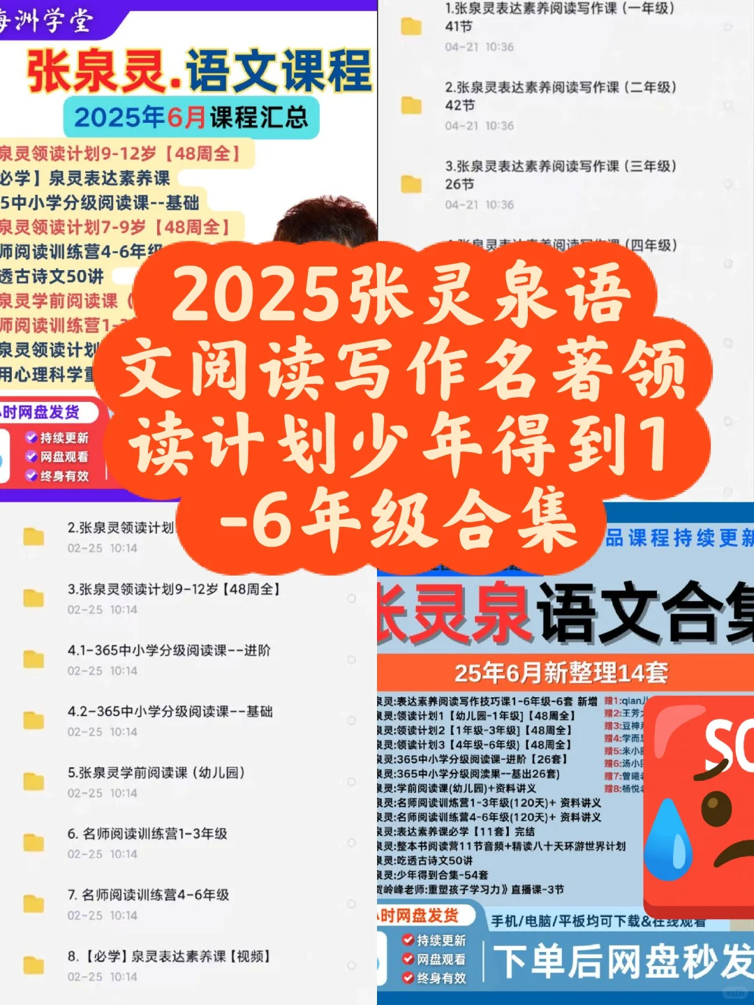 张泉灵全套新增阅读写作技巧名著领读计划少