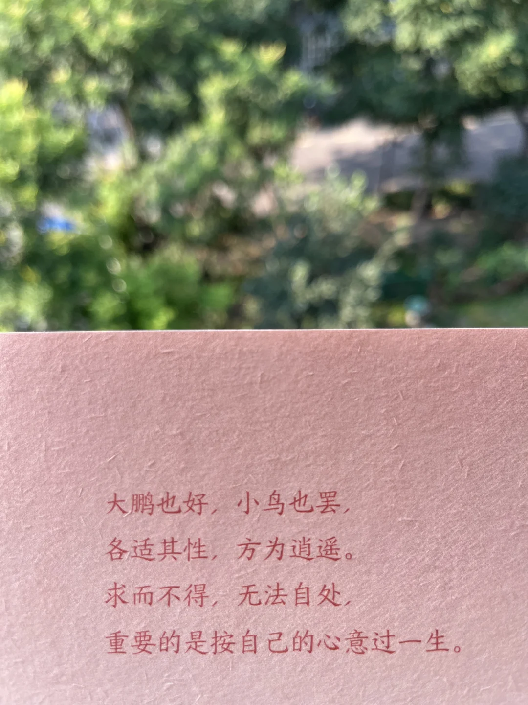 快乐是什么，是“发现”的乐趣，是“人与人连接”
