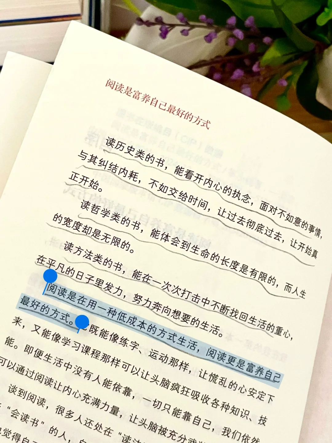 也许今年最幸运的事就是读了这本书吧