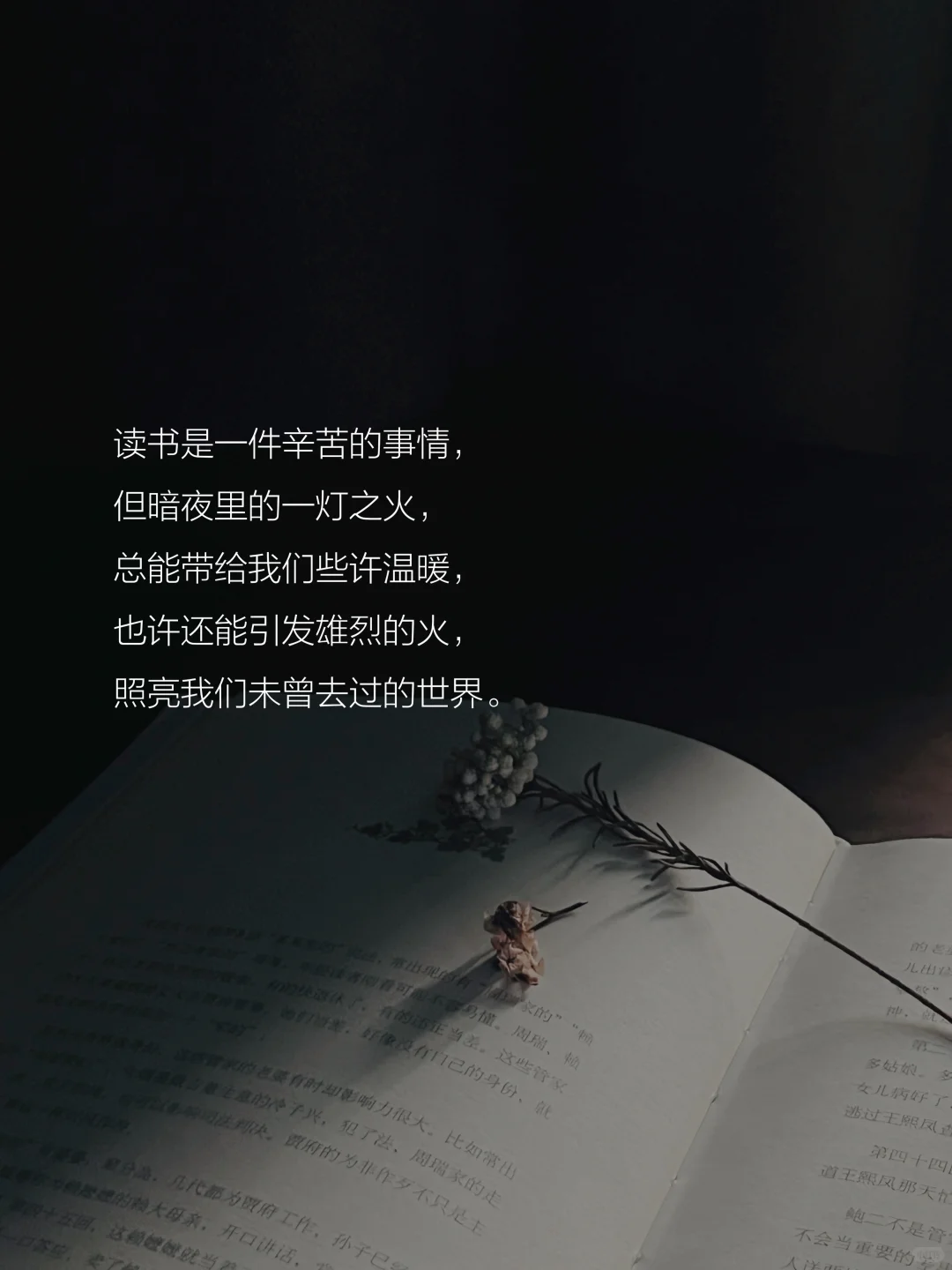 读书的意义是什么？这是我听到的蕞好的答案。