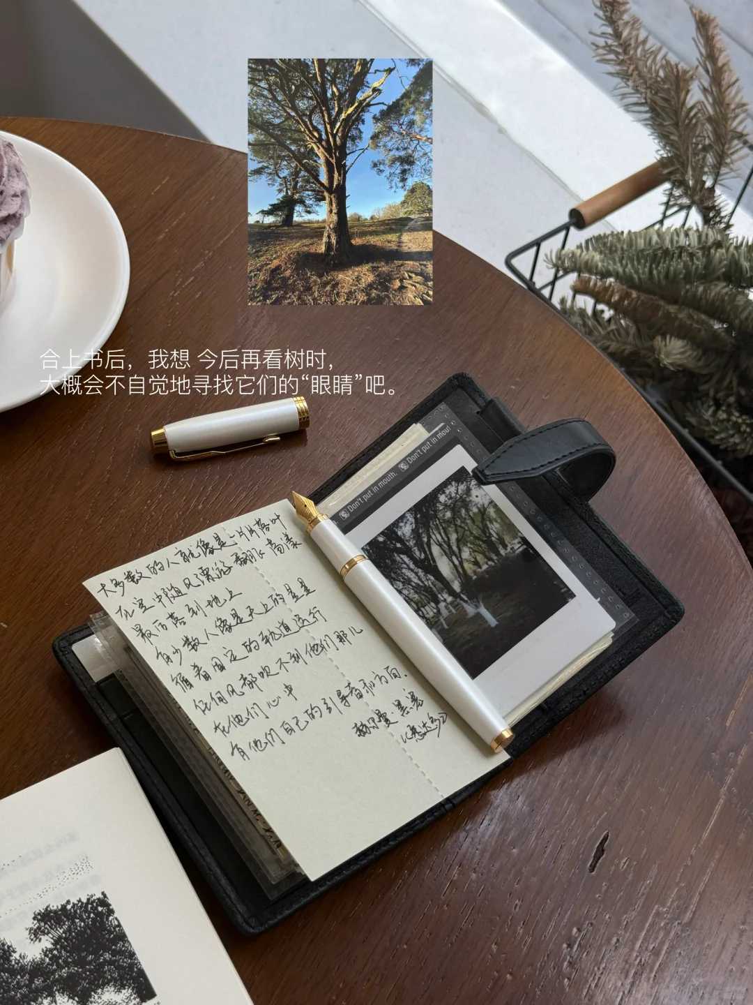夏天是让人容易感到幸福的季节。