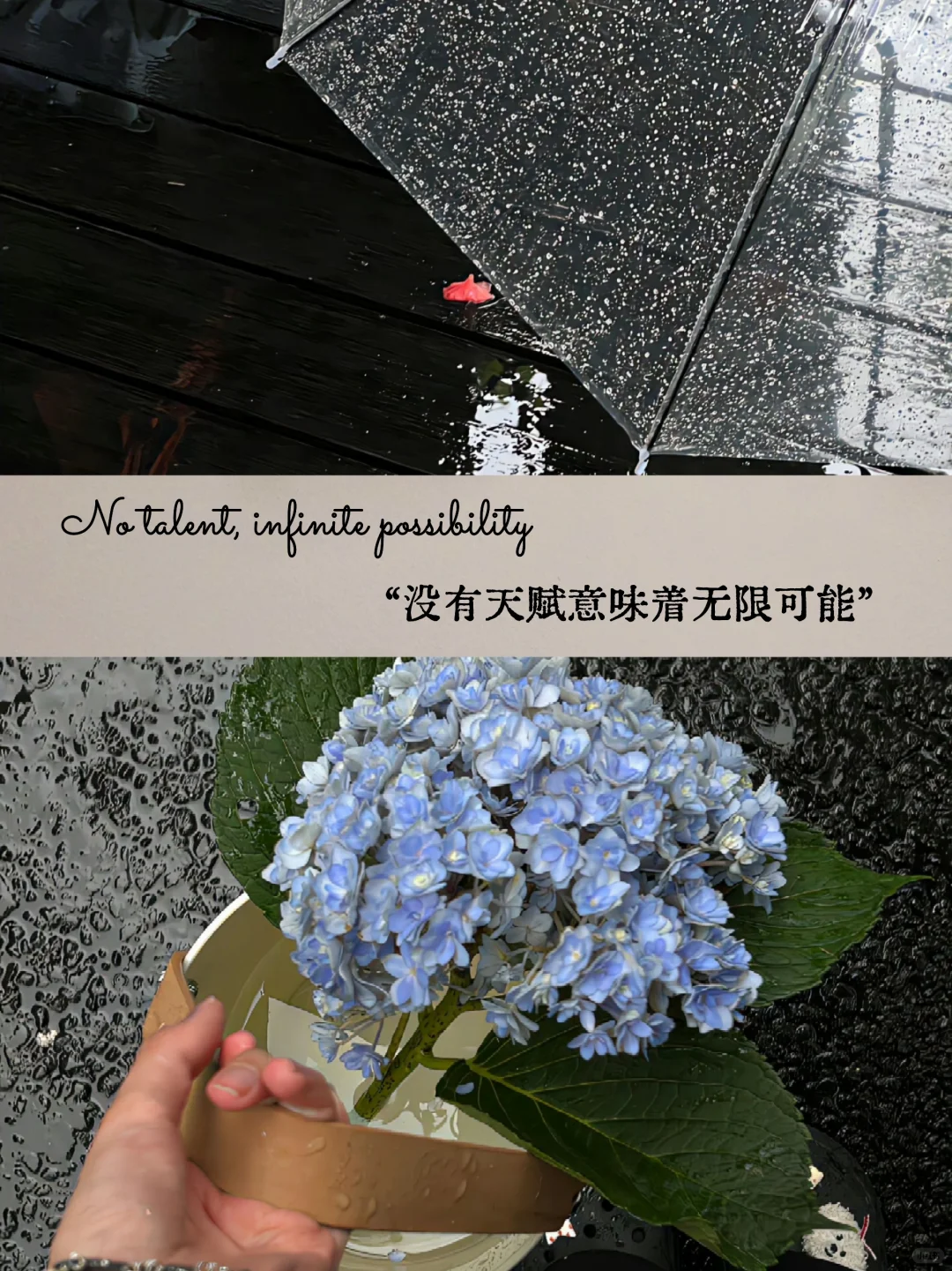 雨天｜享受睡饱、发呆、阅读的慢人生活