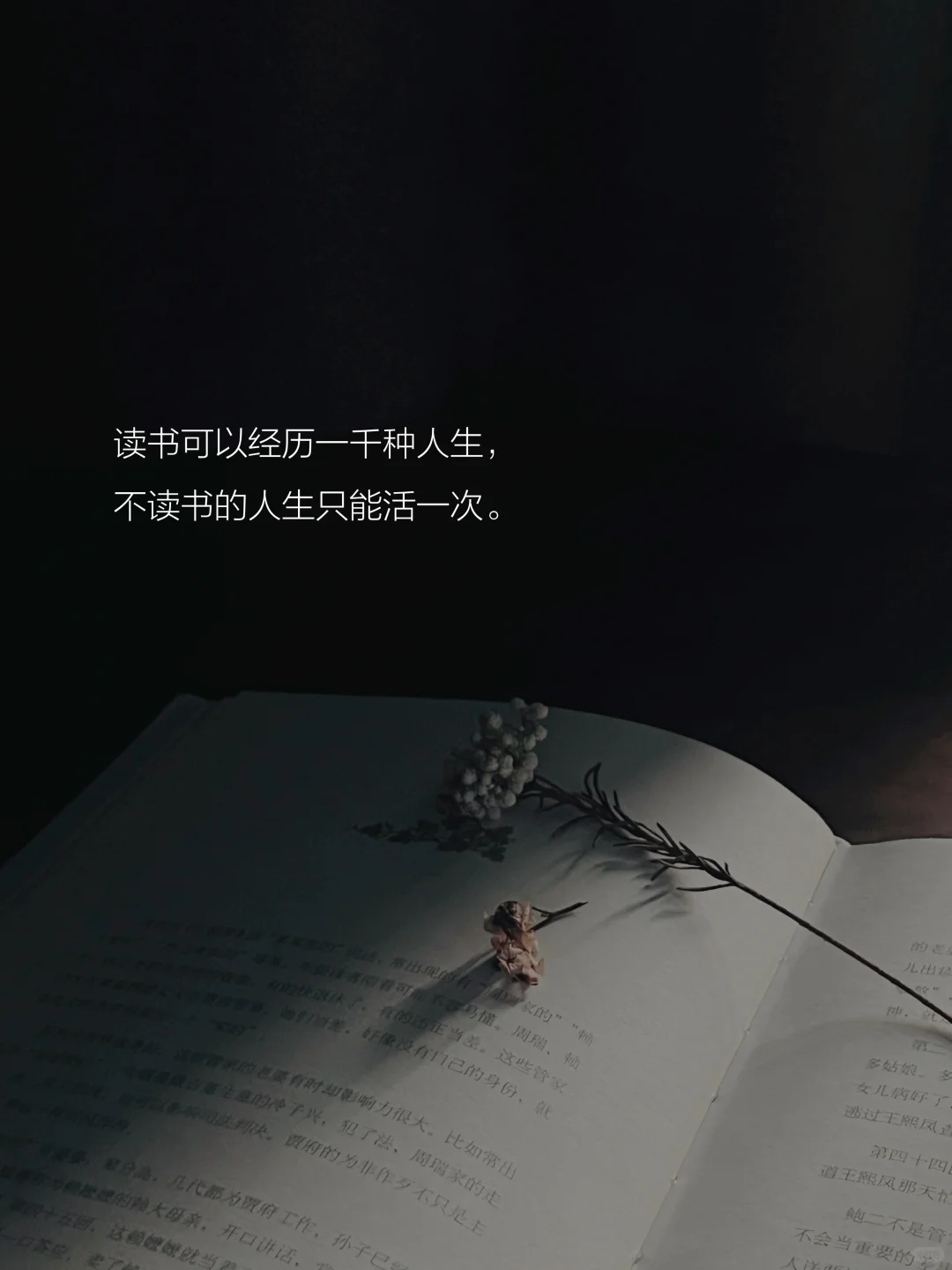 读书的意义是什么？这是我听到的蕞好的答案。