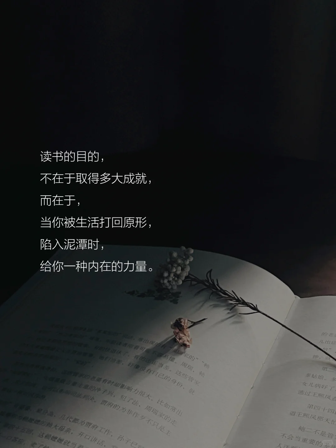 读书的意义是什么？这是我听到的蕞好的答案。