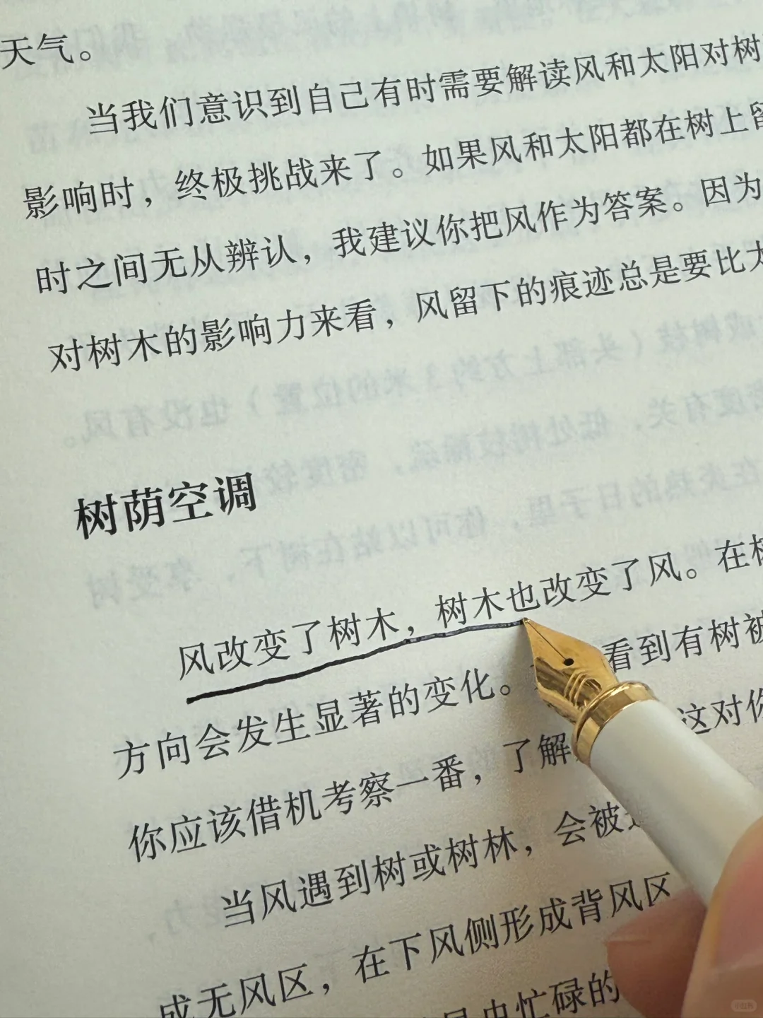 夏天是让人容易感到幸福的季节。