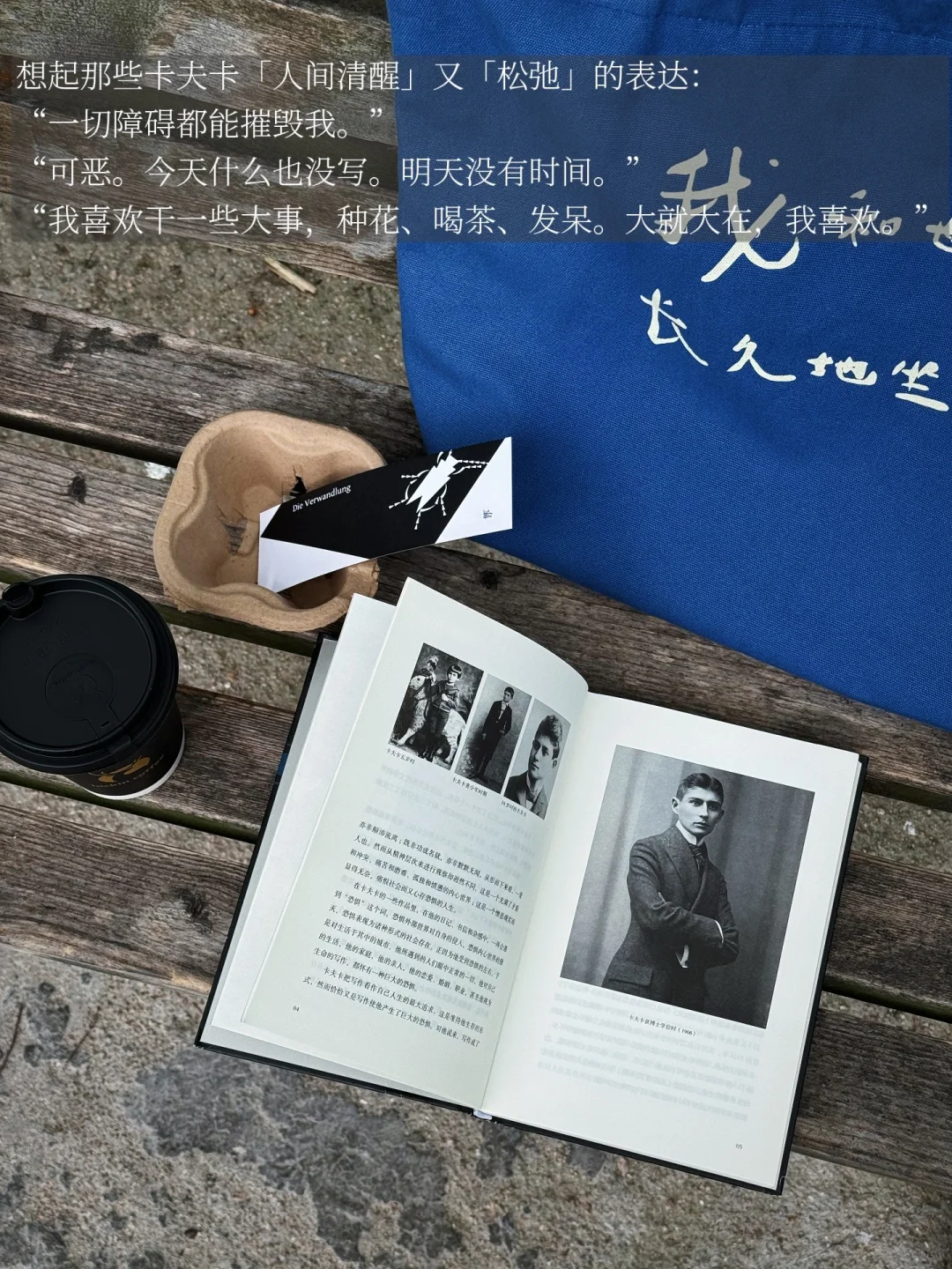 我的解压方式：阅读、散步、看树、不联系🌁