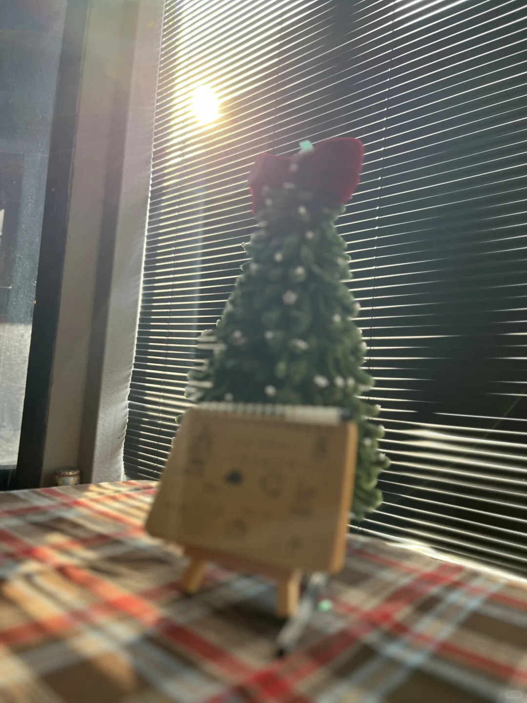 享受冬日阳光☀️