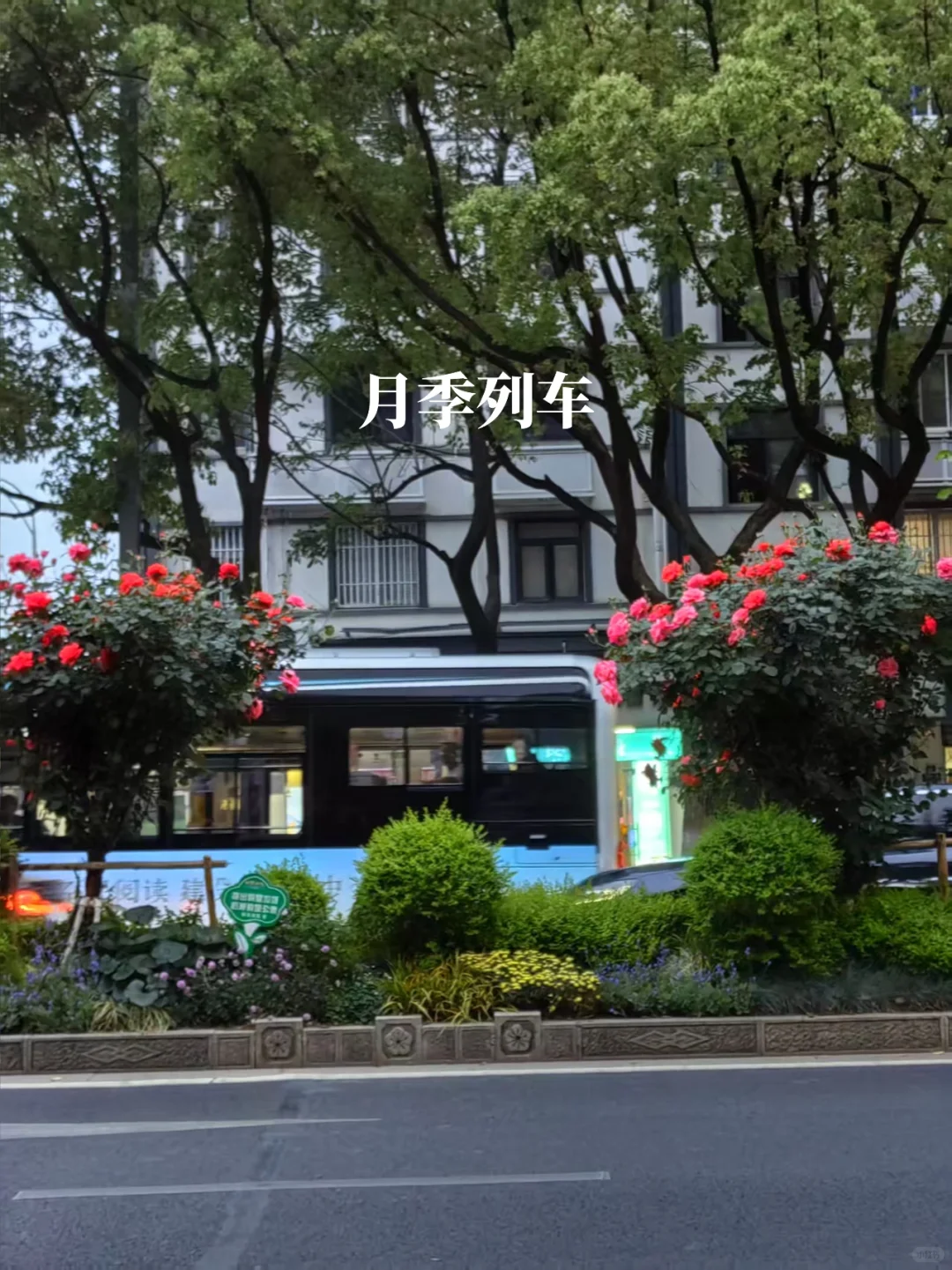 ：阅读遇到好的句子我会忍不住抄下来