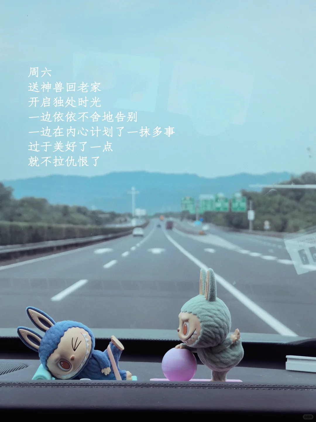 她的一周：买花、阅读、游泳、享受夏日