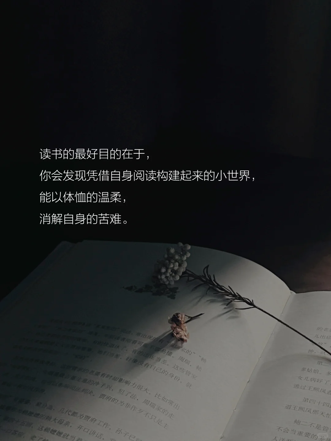 读书的意义是什么？这是我听到的蕞好的答案。