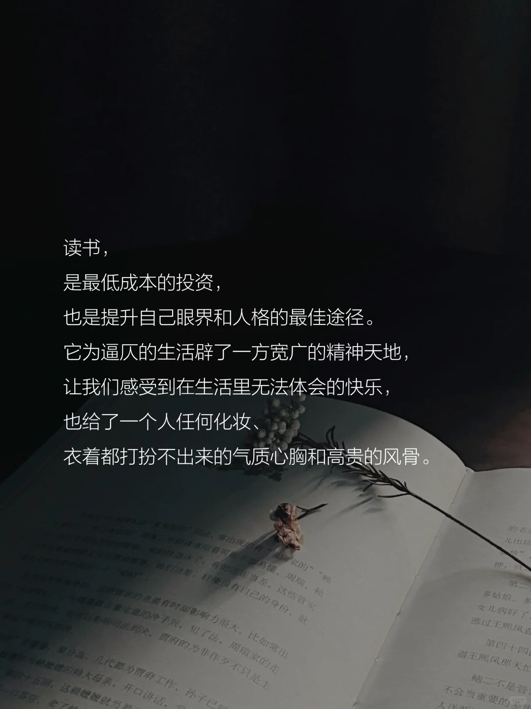 读书的意义是什么？这是我听到的蕞好的答案。