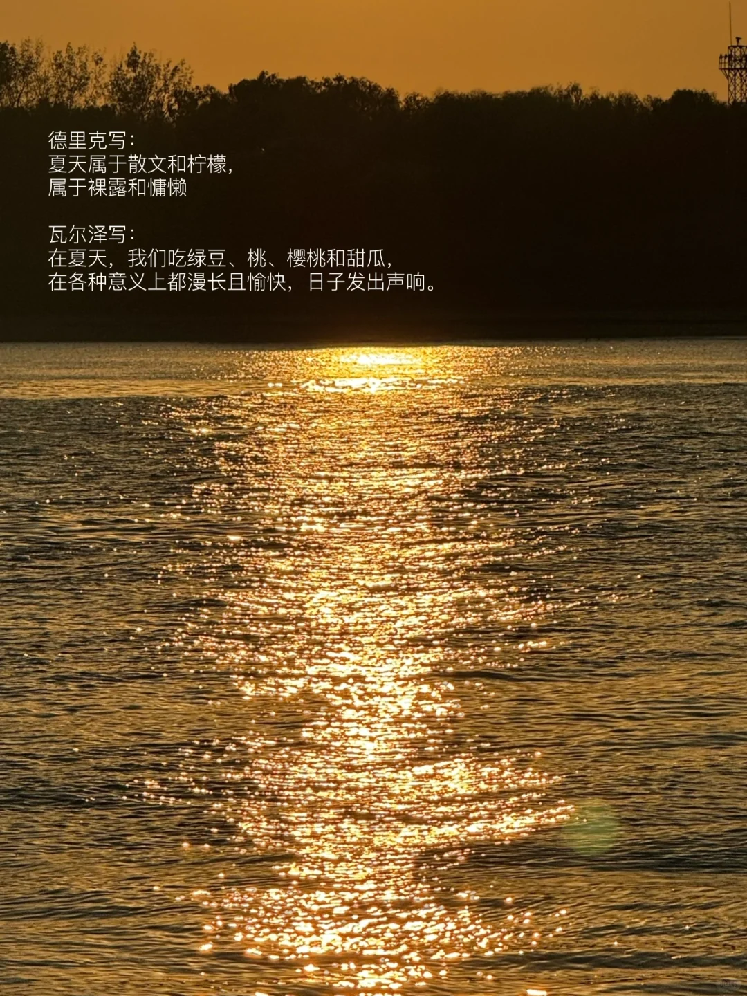 夏天是让人容易感到幸福的季节。