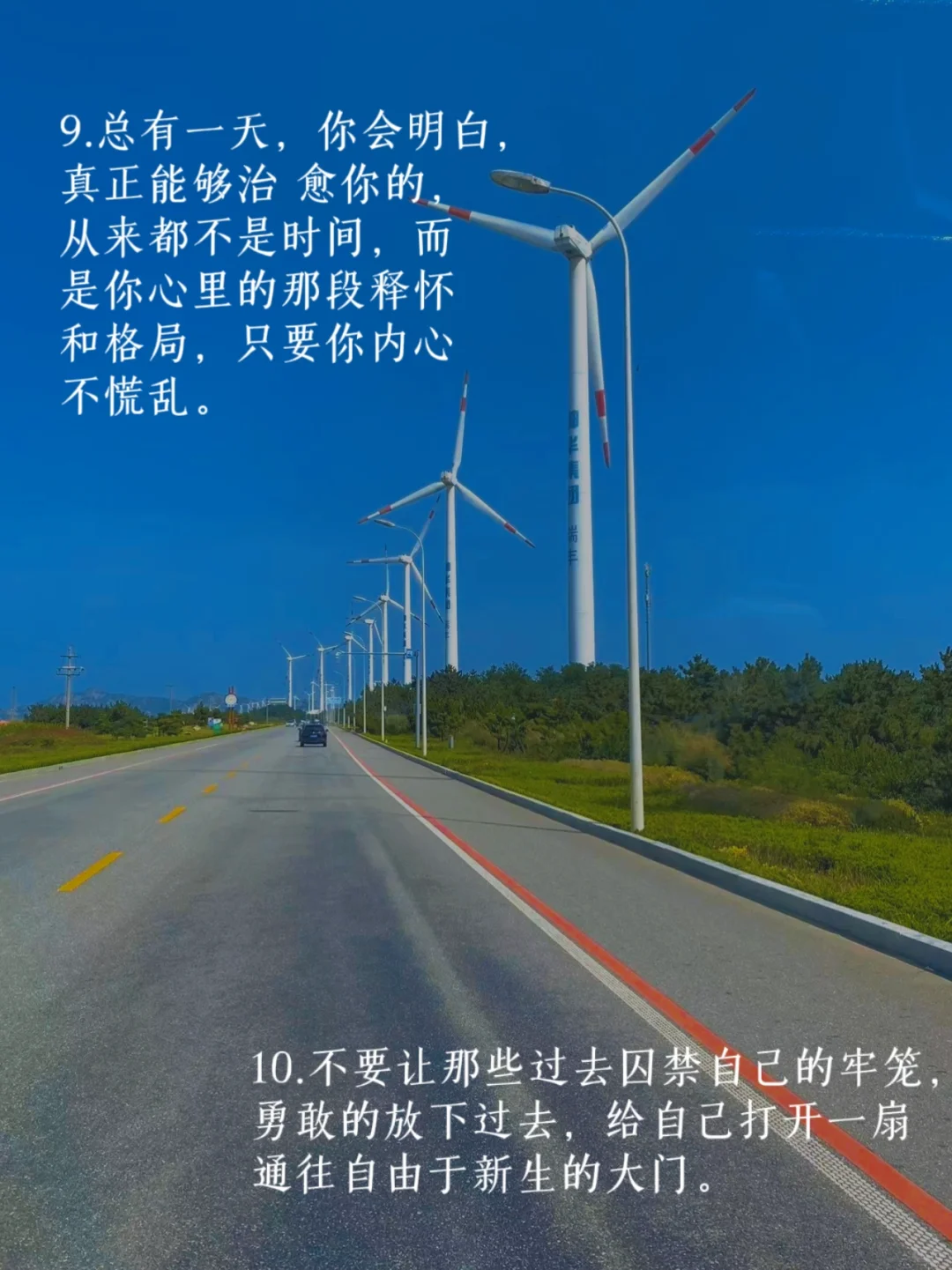 励志文案🌿做读书博主我是为了“成长”