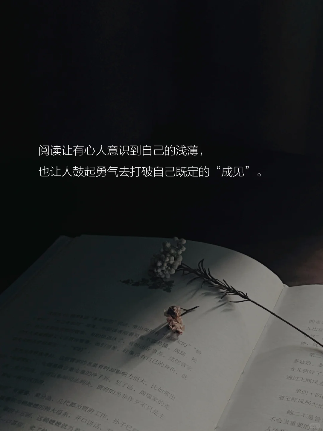 读书的意义是什么？这是我听到的蕞好的答案。