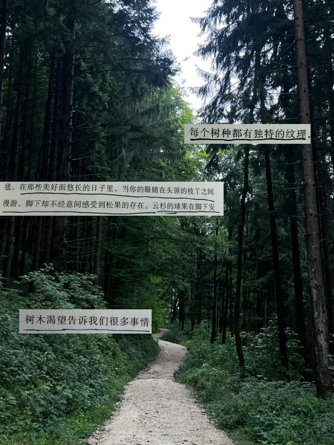 夏天是让人容易感到幸福的季节。