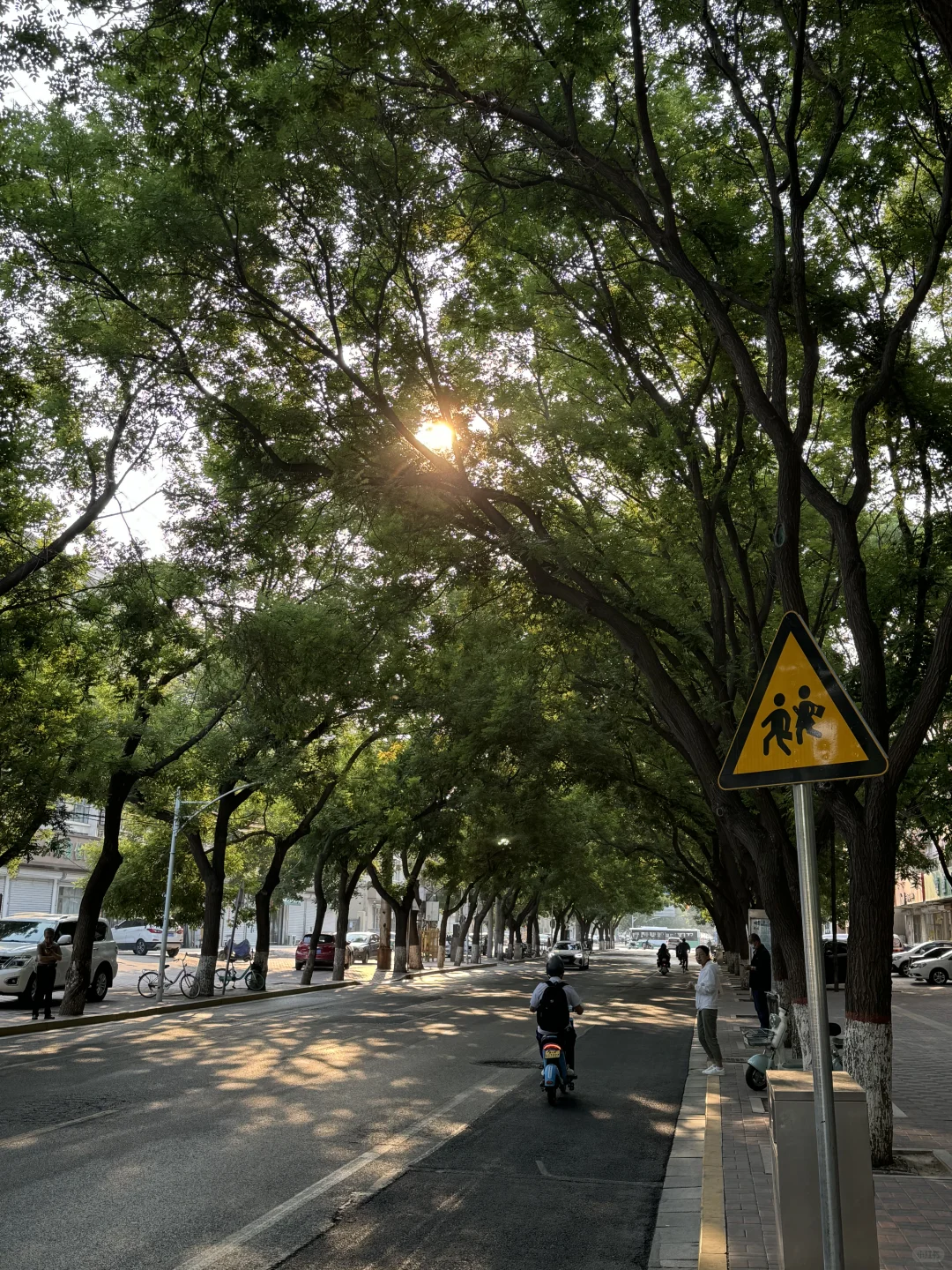 我发现 当我每天把一个小时留给自己：