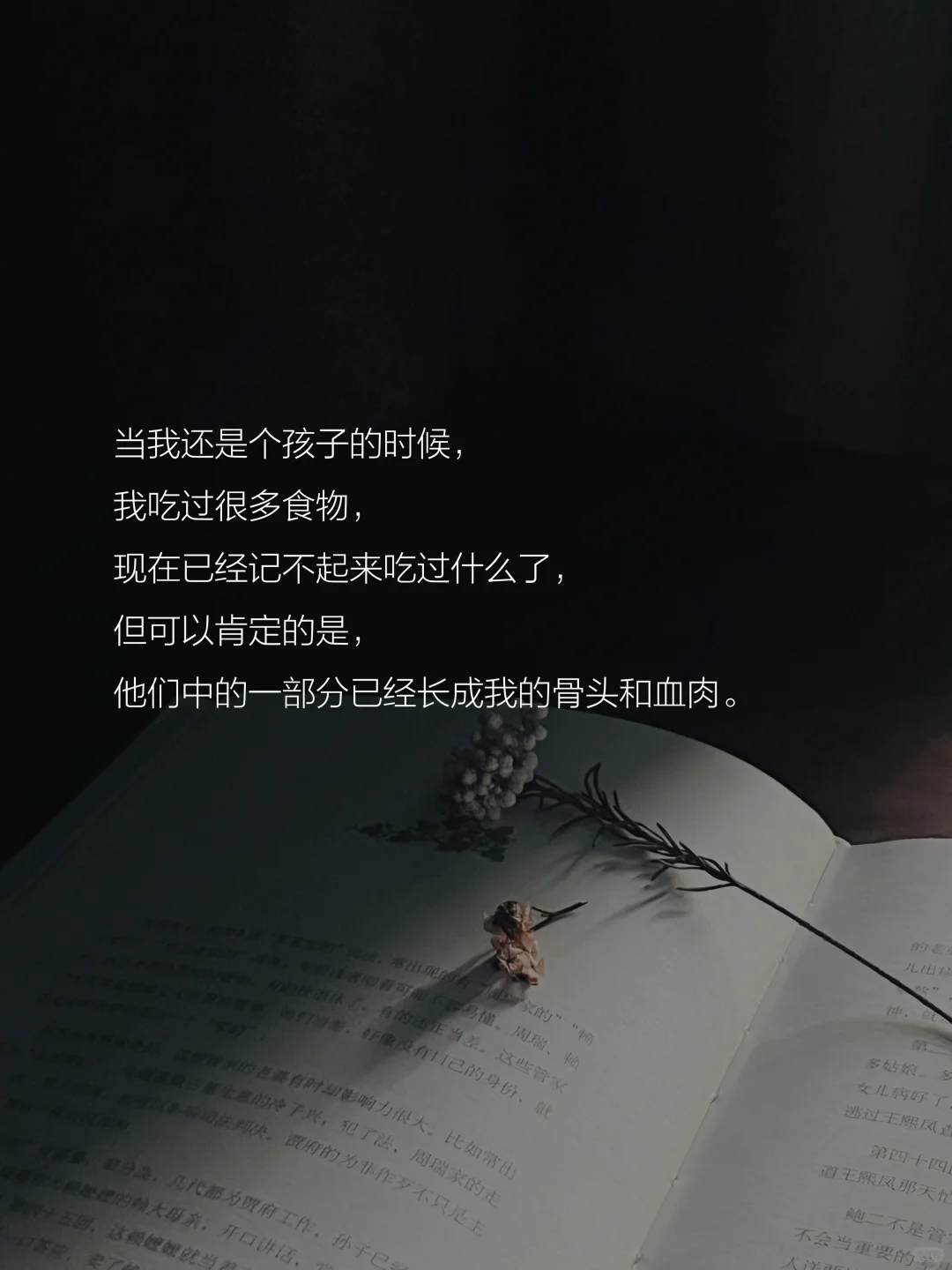 读书的意义是什么？这是我听到的蕞好的答案。