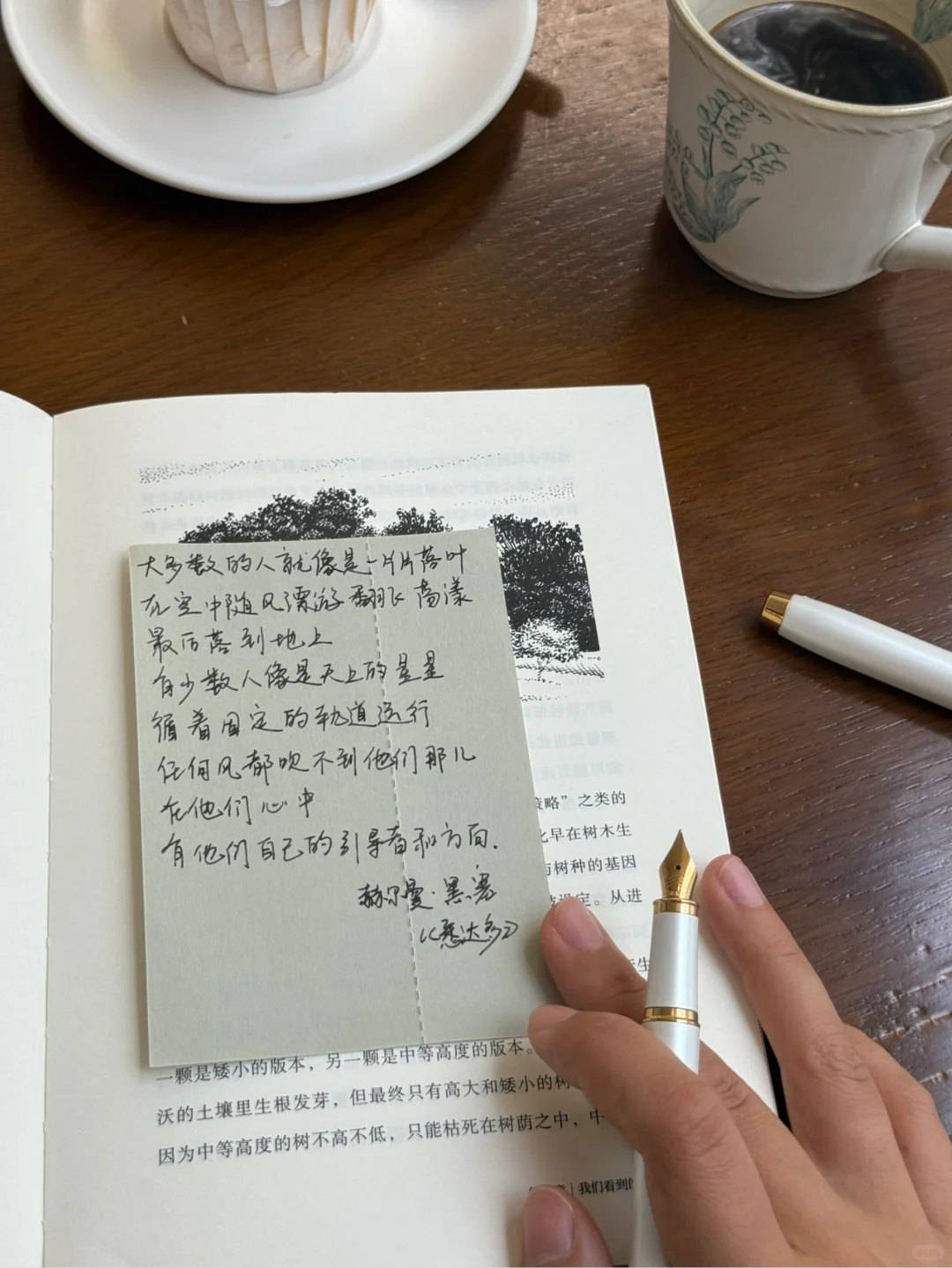 夏天是让人容易感到幸福的季节。