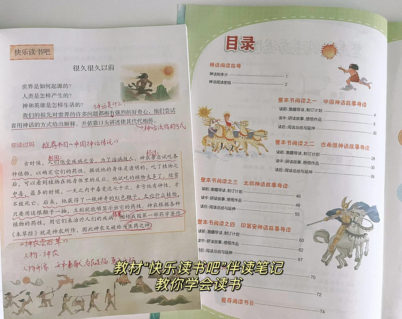 四上语文｜《快乐读书吧》读书笔记