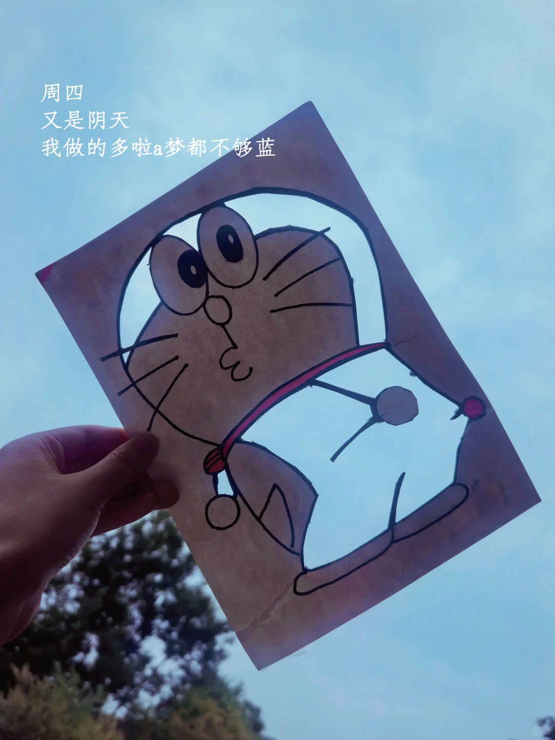 她的一周：买花、阅读、游泳、享受夏日