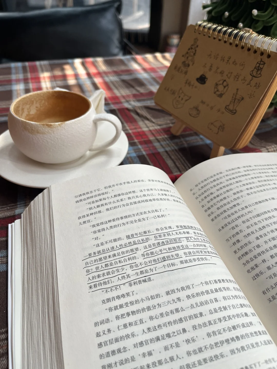 享受冬日阳光☀️