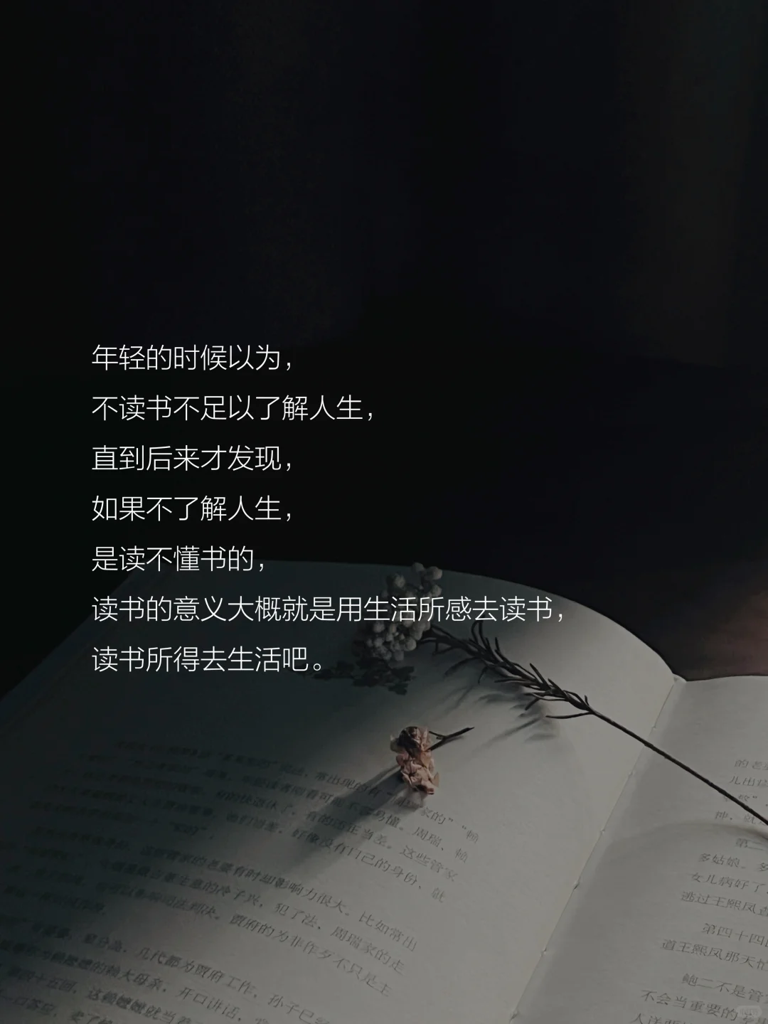读书的意义是什么？这是我听到的蕞好的答案。