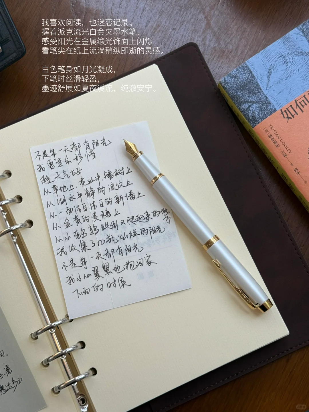 夏天是让人容易感到幸福的季节。