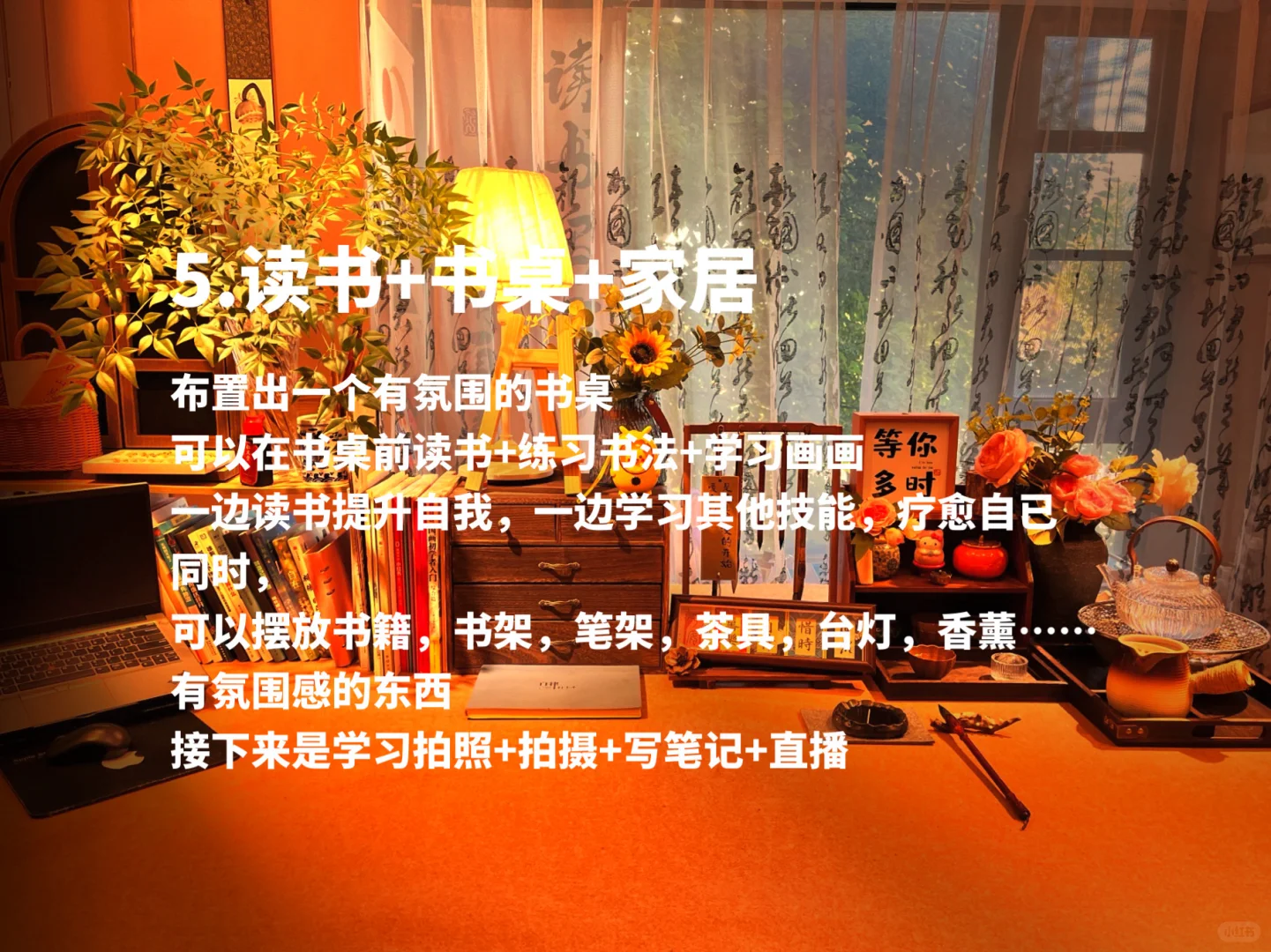 📌【读书博主】📖一定要做双赛道🏠