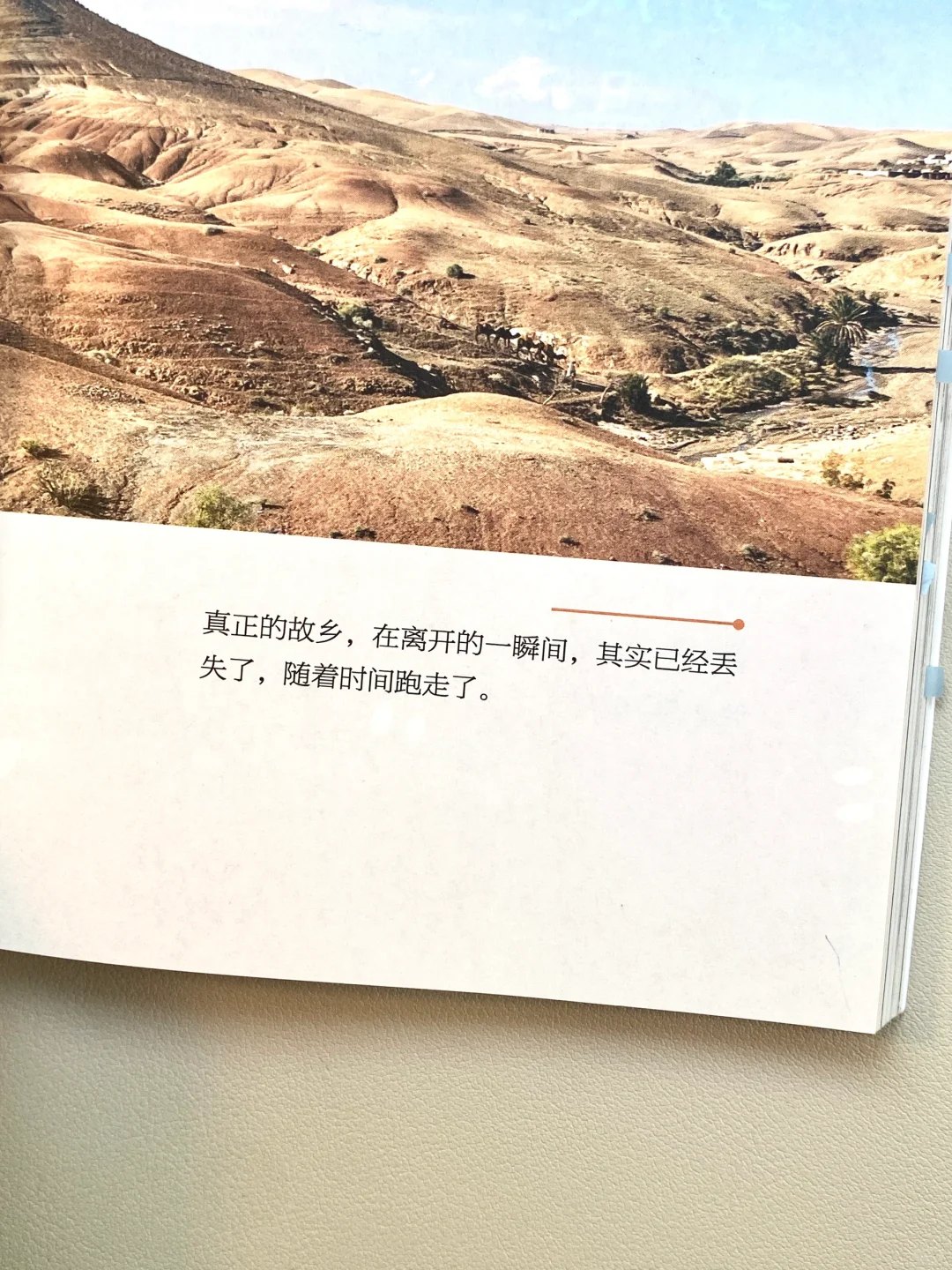 我宣布，这是今年最治愈我的一本书！！！