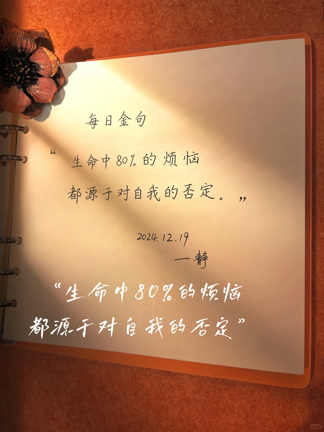 📌【读书博主】📖一定要做双赛道🏠