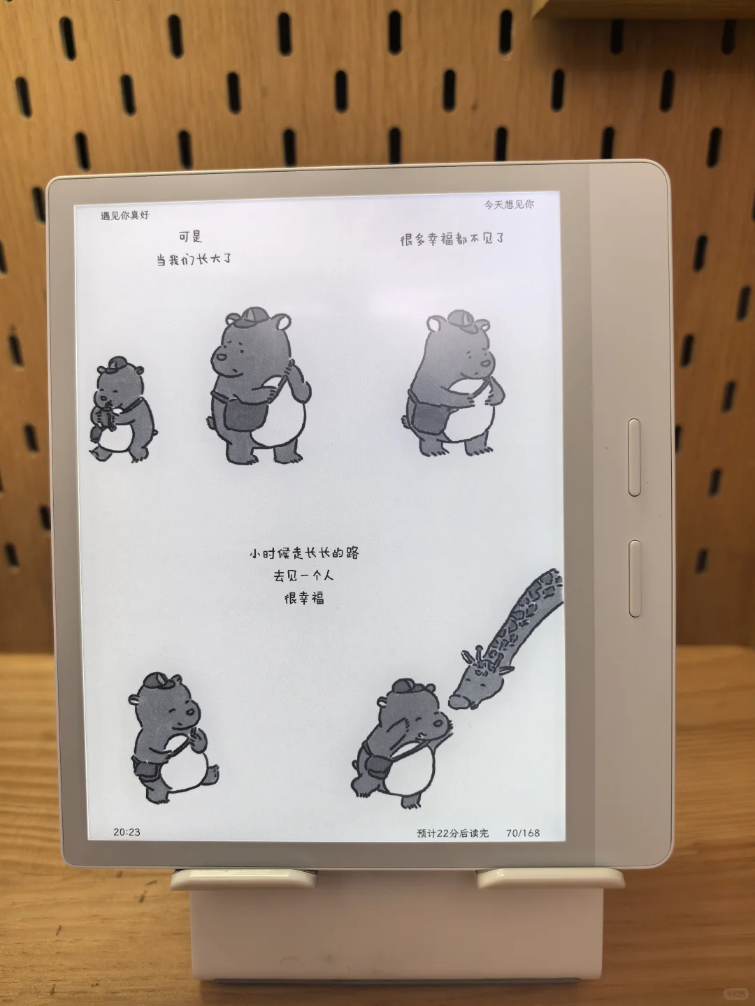 没错，这就是我的新宠！