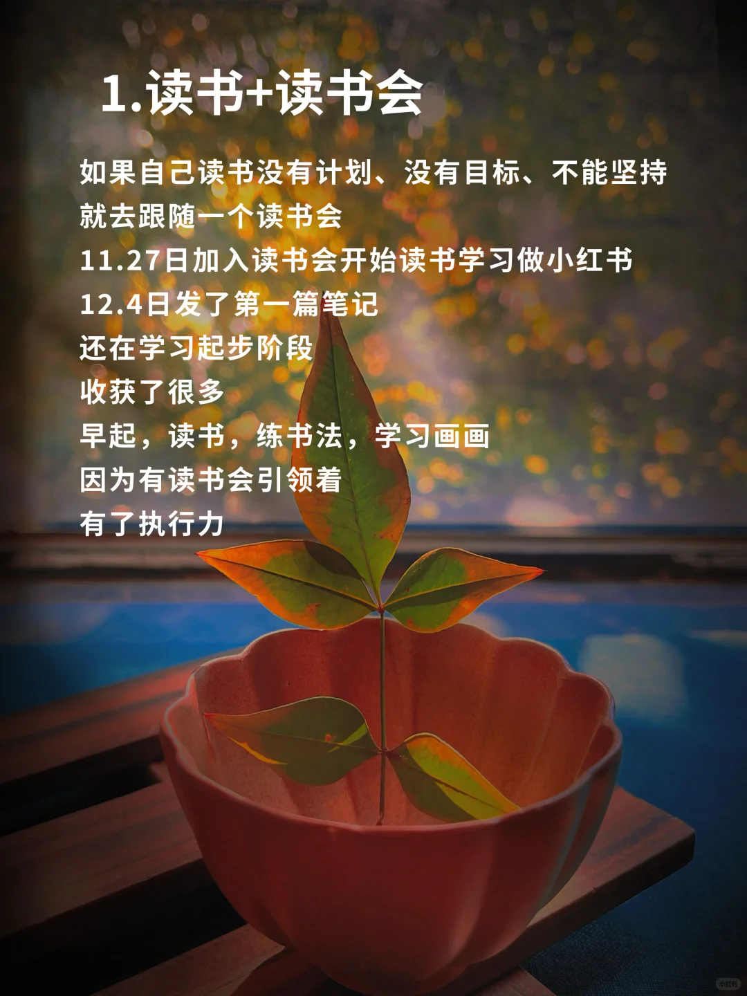 📌【读书博主】📖一定要做双赛道🏠