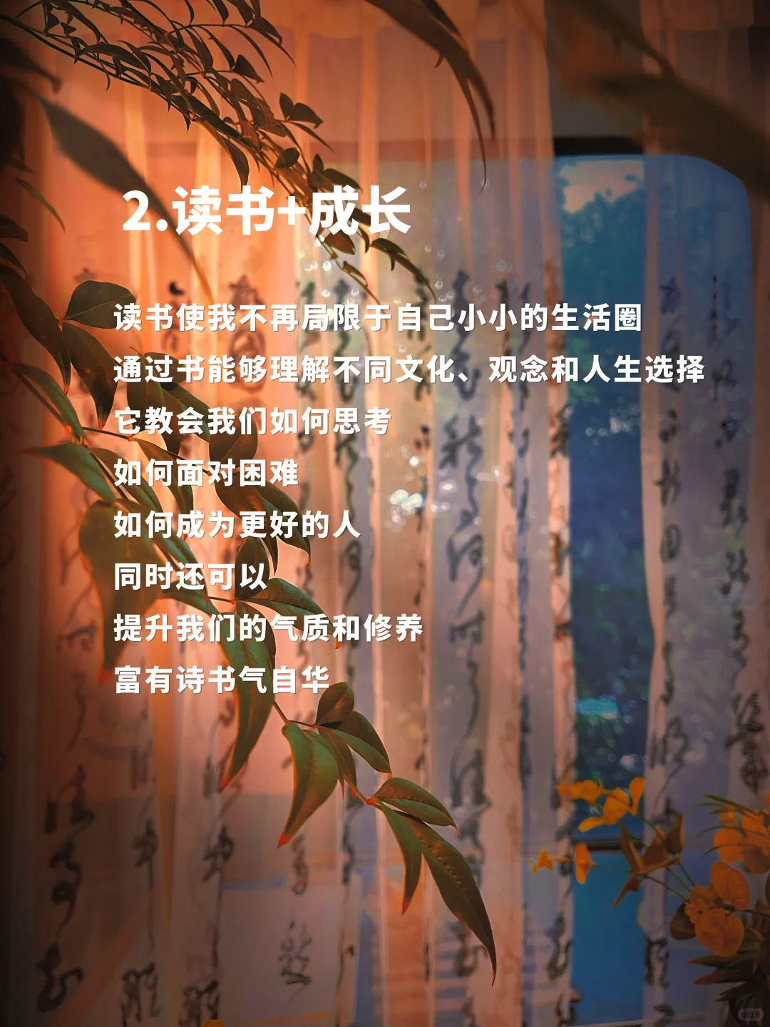 📌【读书博主】📖一定要做双赛道🏠