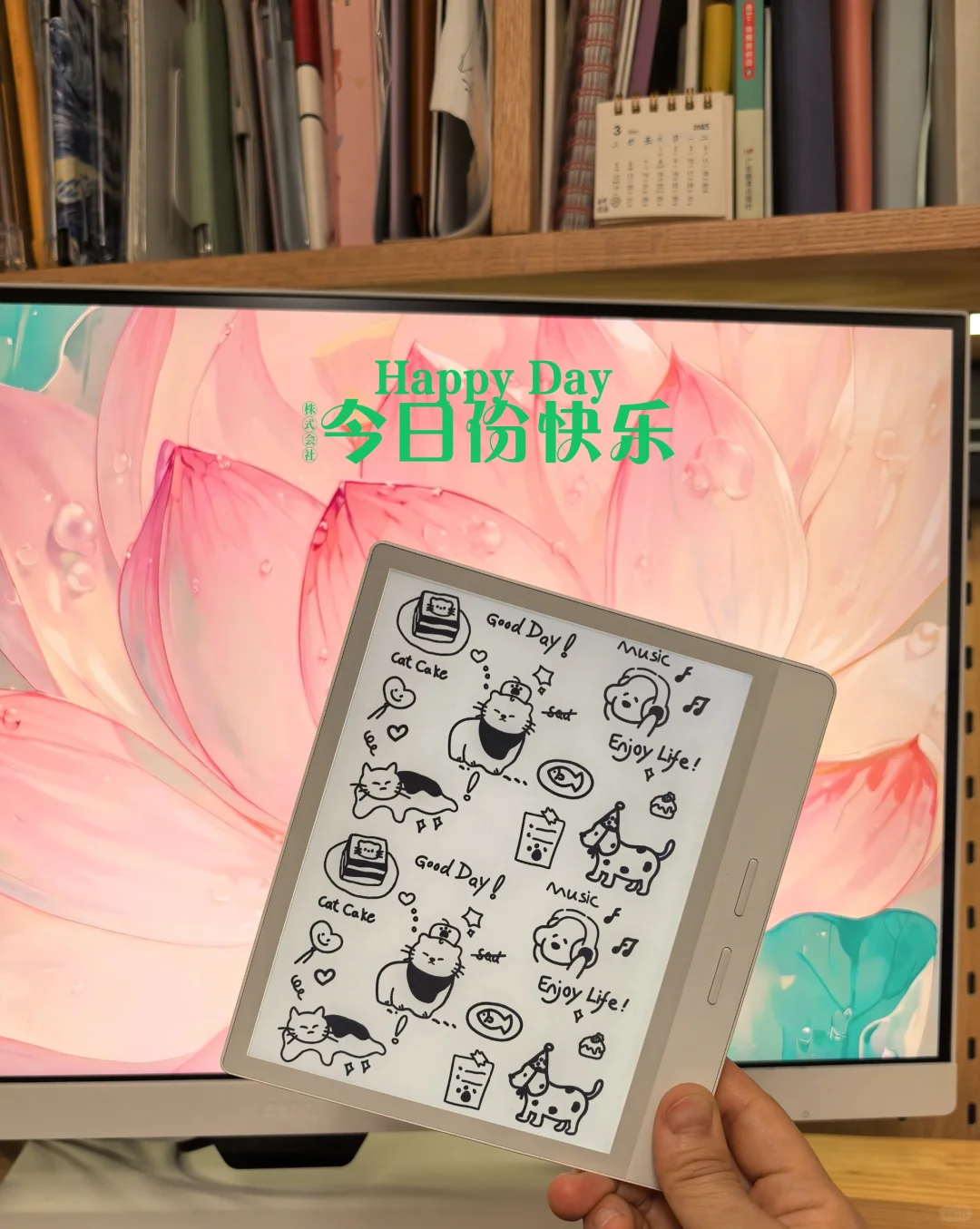 没错，这就是我的新宠！